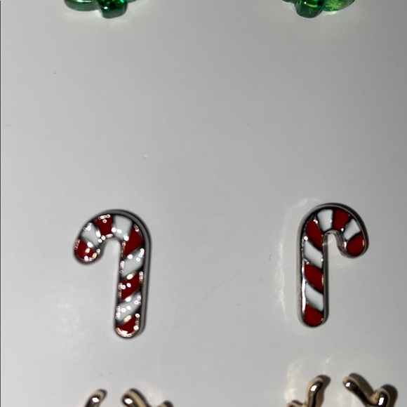 BRAND NEW IN BOX Lane Bryant Earrings - Picture 6 of 8